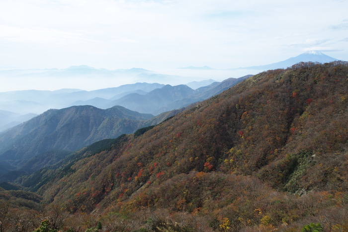 e0307372_2354265.jpg