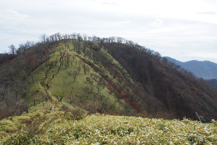 e0307372_2365858.jpg