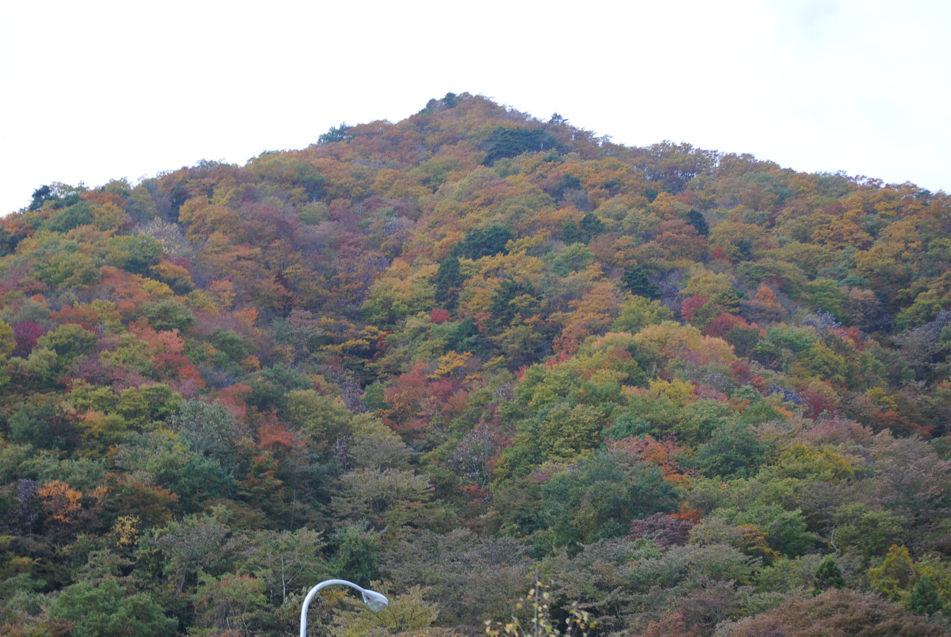 b0242873_10122311.jpg