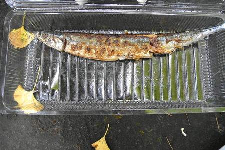 e0025873_205993.jpg