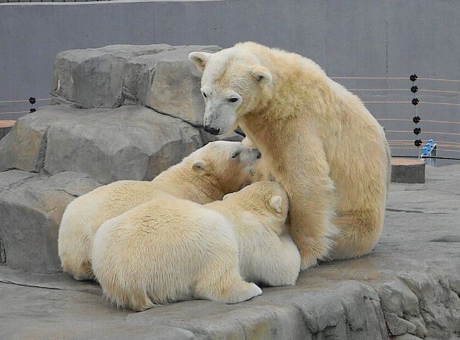 b0014576_4261214.jpg