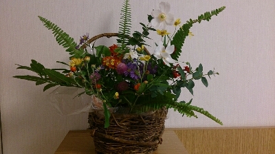 d0183577_2364329.jpg