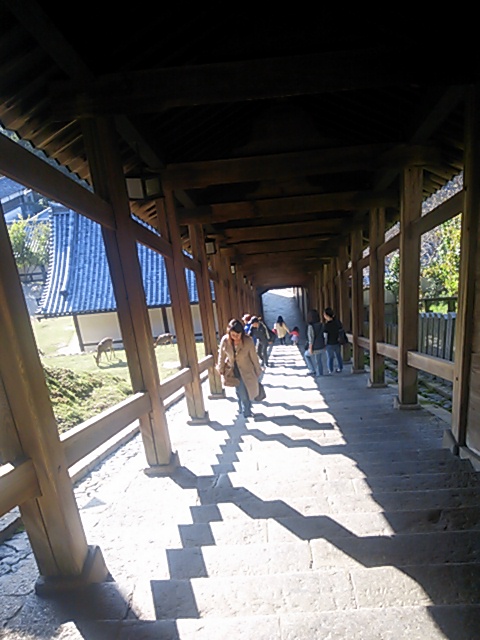 c0096582_2302793.jpg