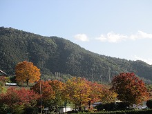 a0142083_2019542.jpg