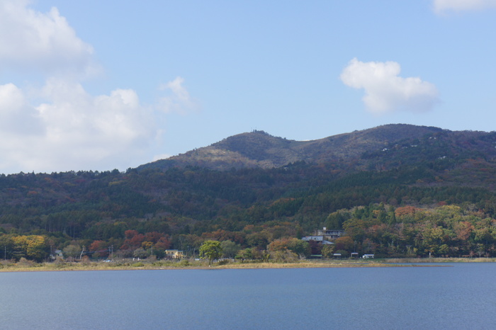 f0287487_8433479.jpg