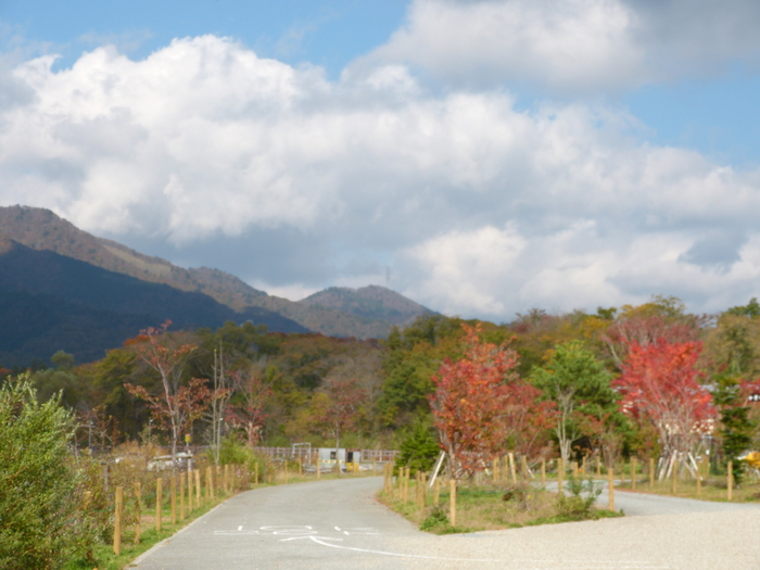 f0287487_8472440.jpg