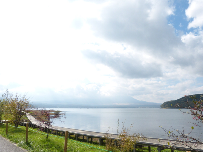 f0287487_8475096.jpg