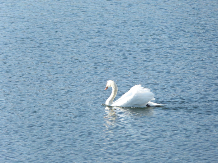 f0287487_8535348.jpg