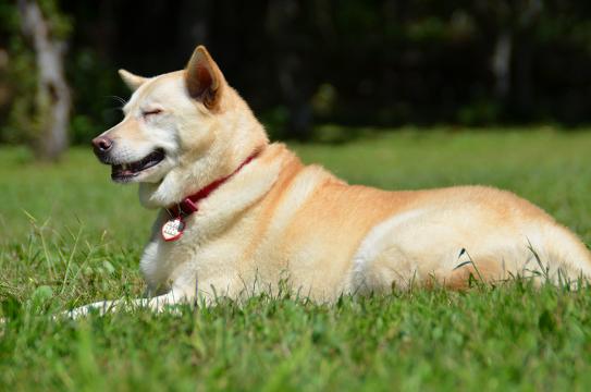 c0123890_7325121.jpg