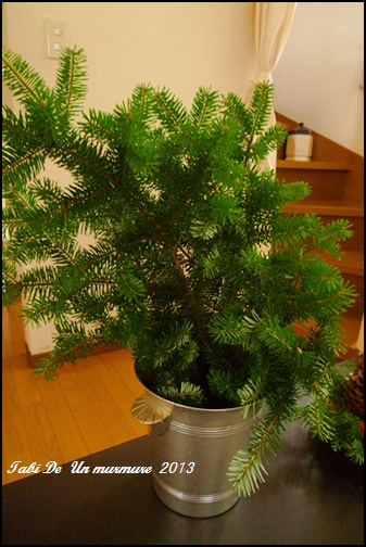 d0140490_10272426.jpg