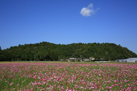 a0157091_10124271.jpg