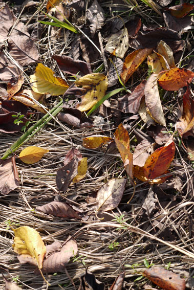 f0222692_15173940.jpg