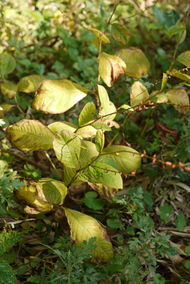 f0222692_15202121.jpg