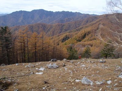 e0211293_2037130.jpg