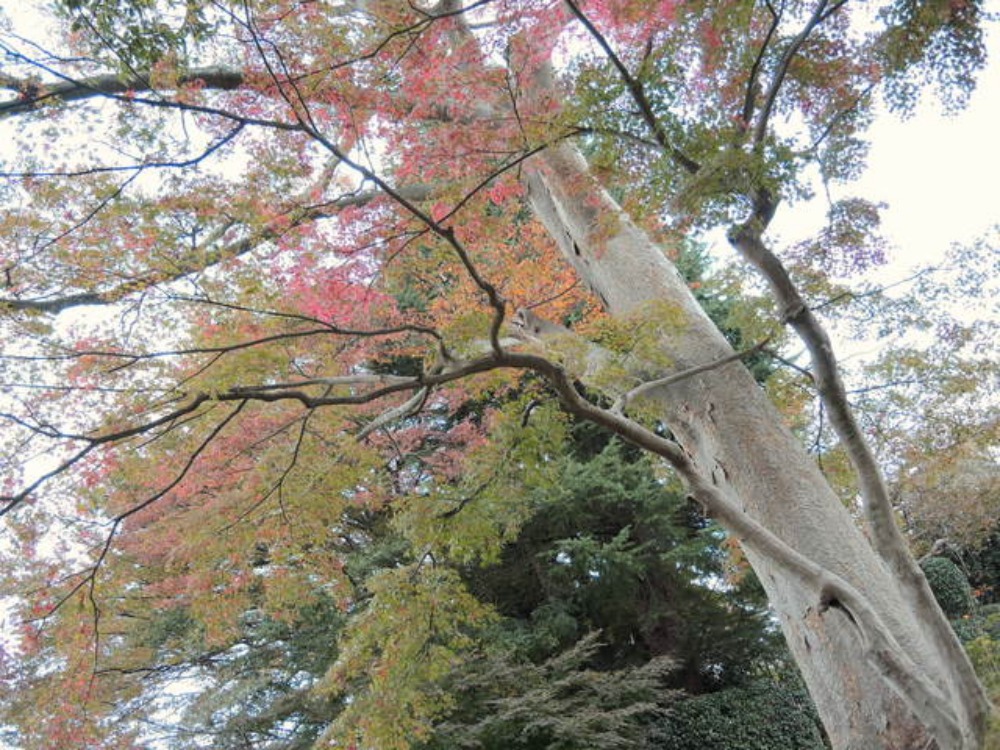 f0100593_176375.jpg