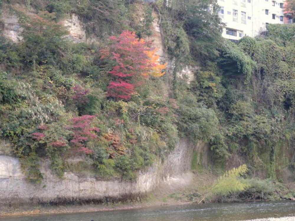 f0100593_177596.jpg