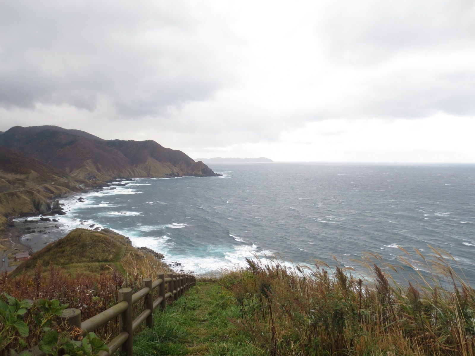 d0055395_17165750.jpg