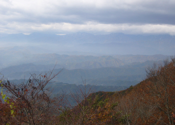 c0125996_523950.jpg