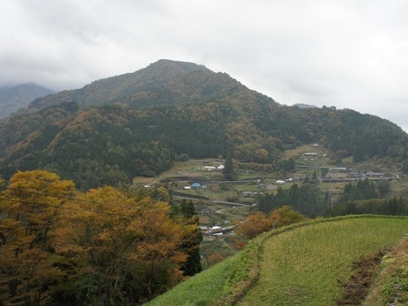 c0155198_16392520.jpg
