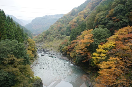 c0155198_16451748.jpg