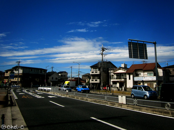 a0154706_12435045.jpg