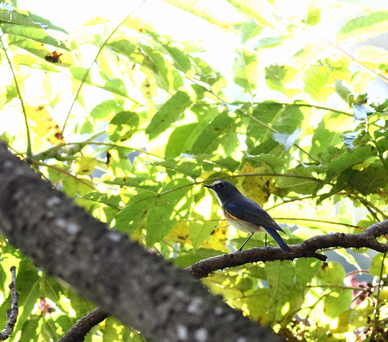 c0213607_2230141.jpg