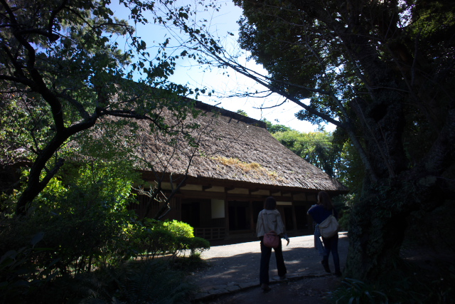 d0143011_20555117.jpg