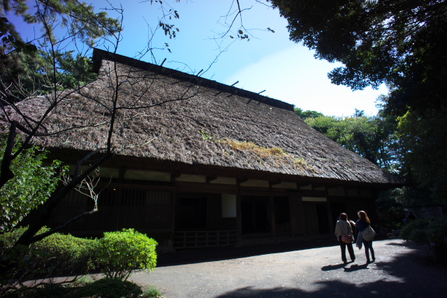 d0143011_2056596.jpg