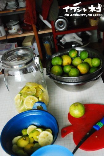 e0207511_1083250.jpg
