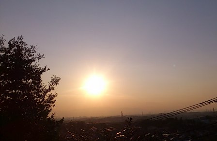 d0024220_213007.jpg