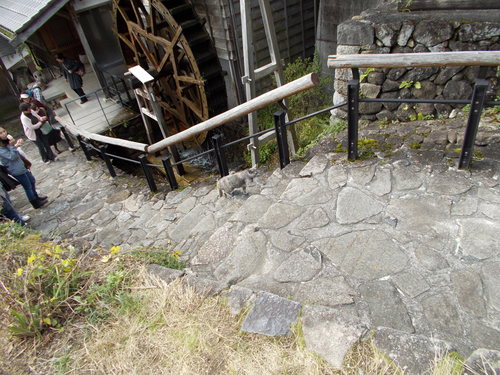 b0182422_0172526.jpg