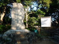 d0006323_17111943.jpg