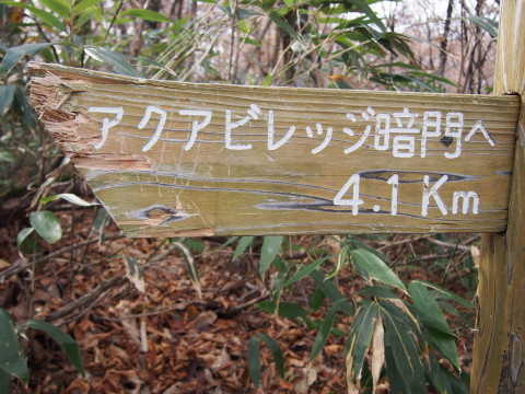 b0147224_20235360.jpg