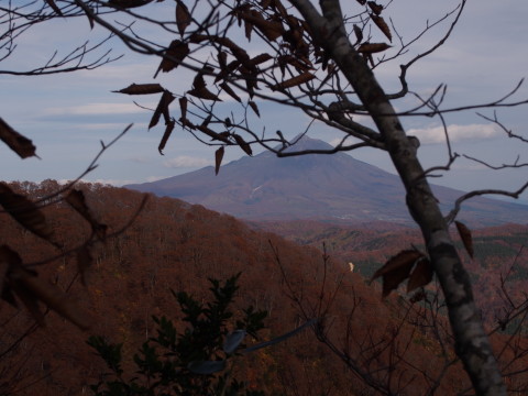b0147224_2026206.jpg