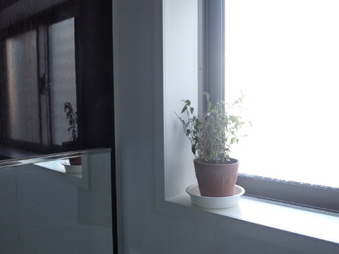 b0199924_1523426.jpg