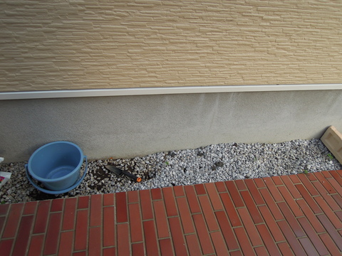 f0151628_224230100.jpg