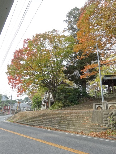 a0024829_18175792.jpg
