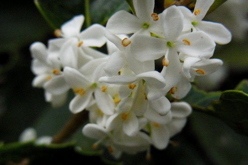 a0017634_21355130.jpg