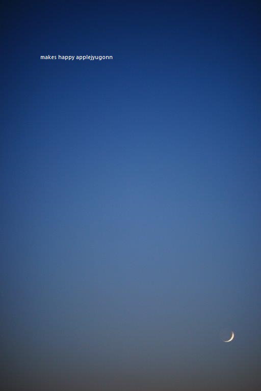 e0165434_22365977.jpg