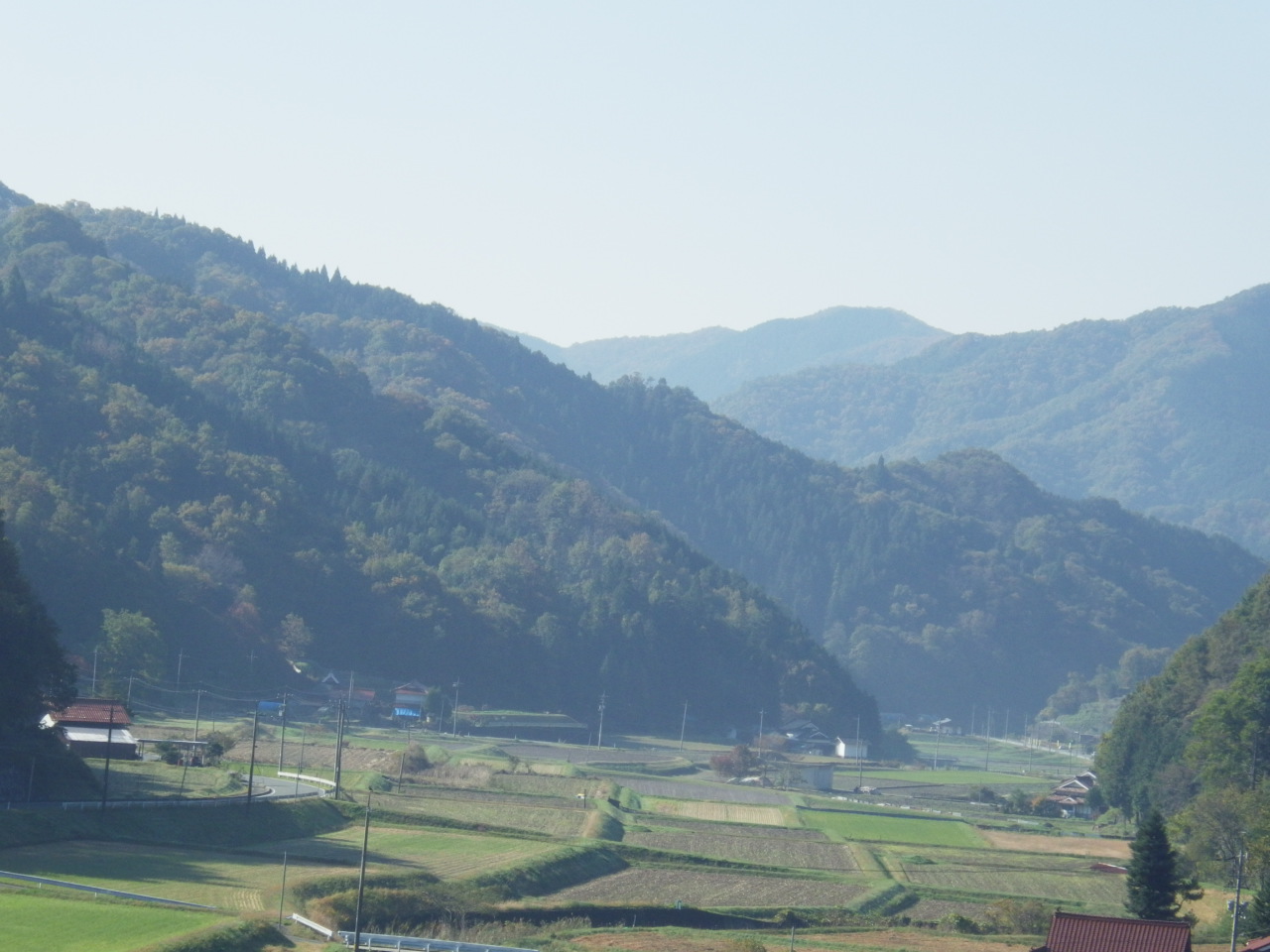 c0300035_1620614.jpg