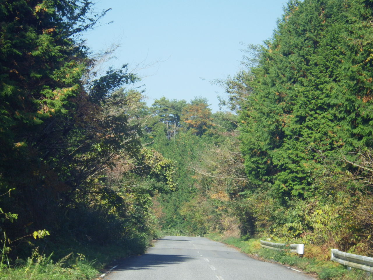 c0300035_16271210.jpg