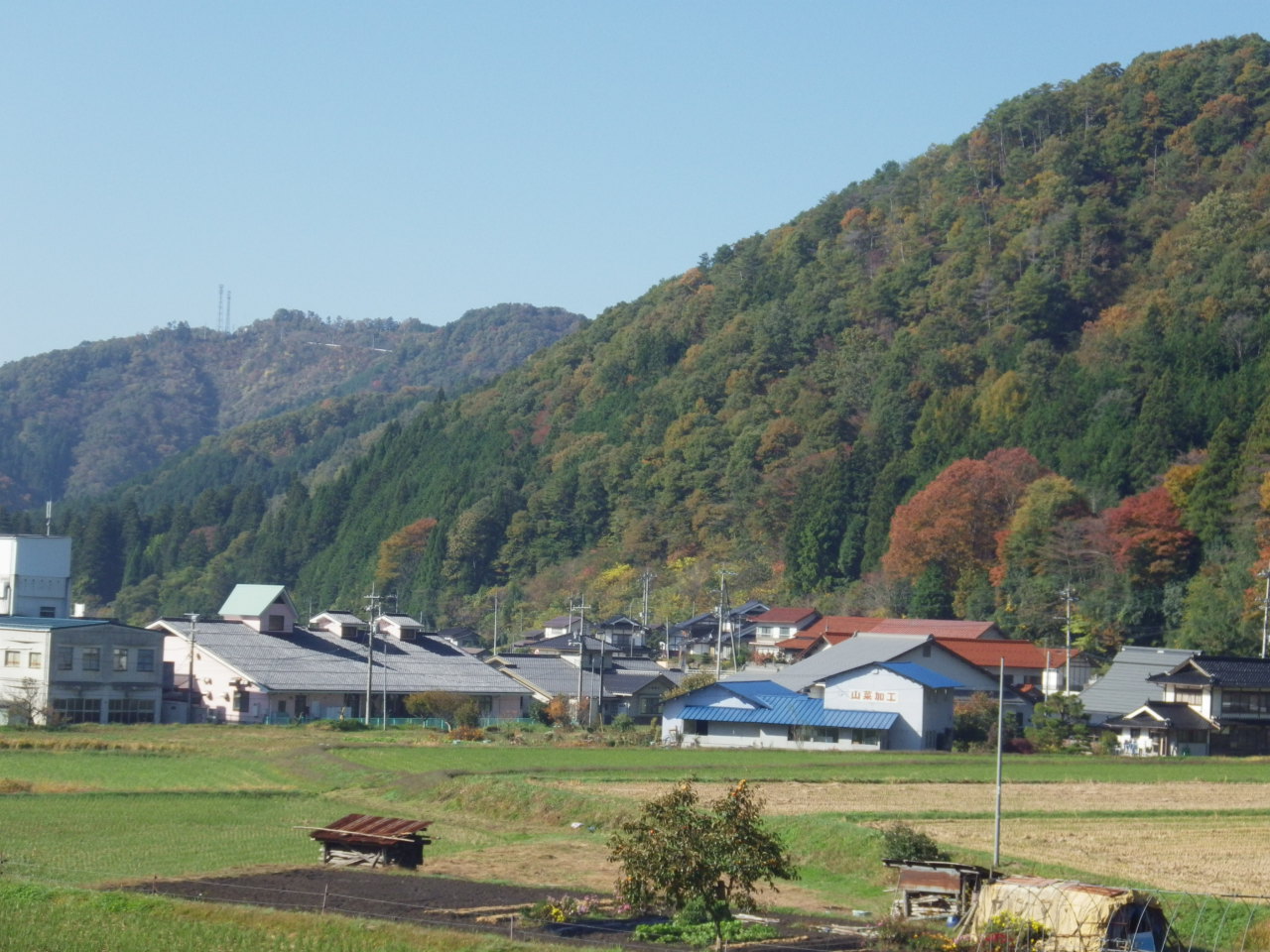 c0300035_1627392.jpg
