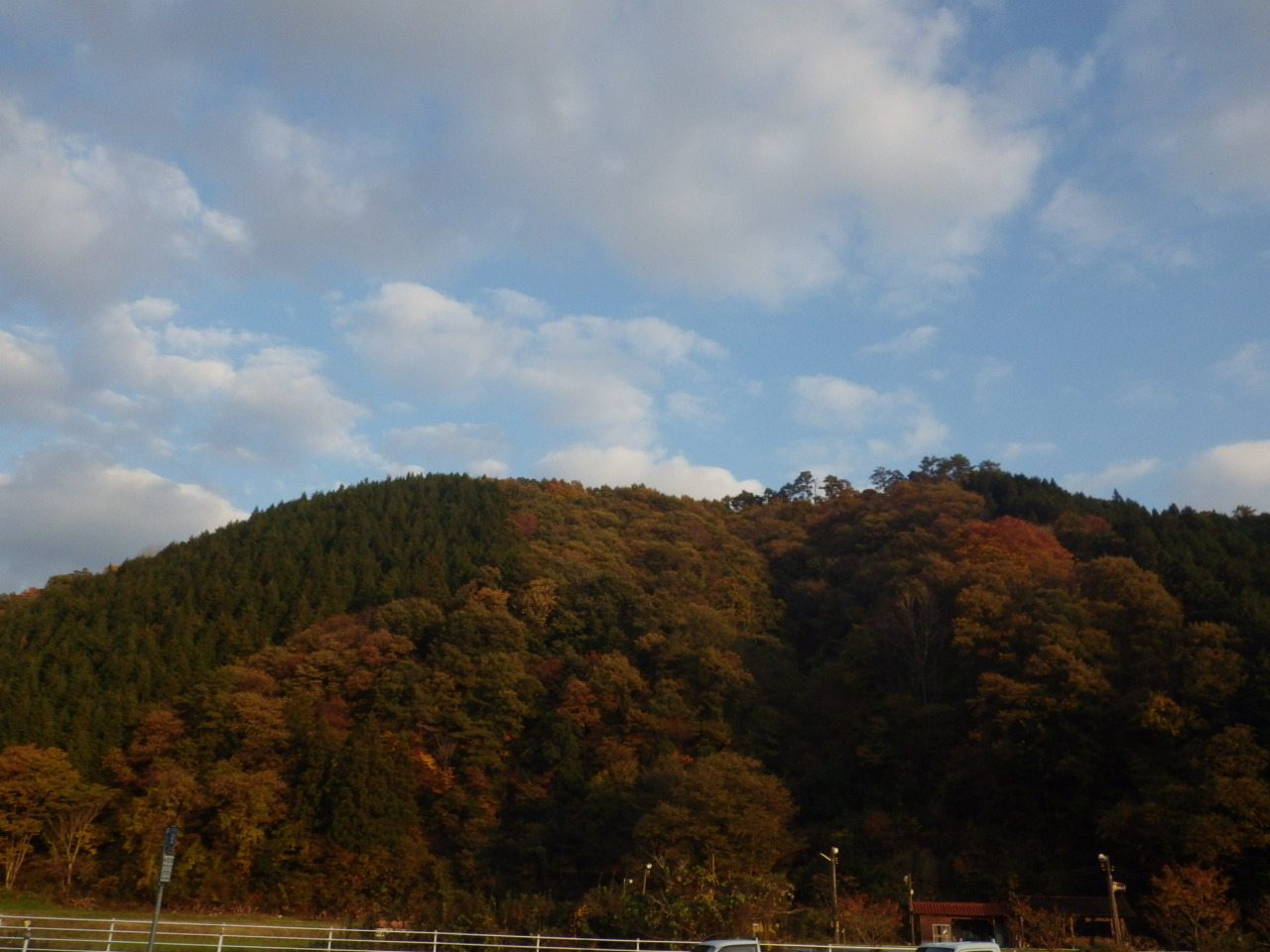 c0300035_1634044.jpg