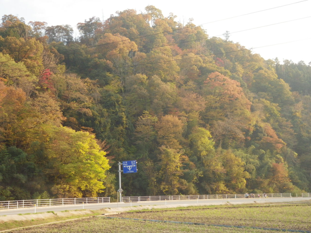 c0300035_16341621.jpg