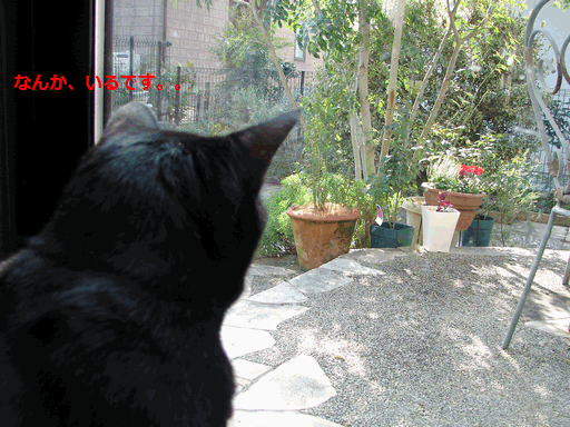 c0136736_224195.gif
