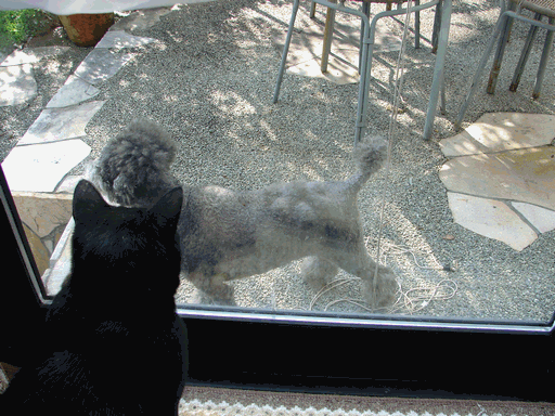 c0136736_2243554.gif