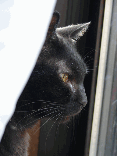 c0136736_2274947.gif
