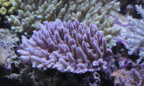 d0221436_23421324.jpg
