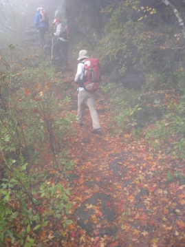 c0077338_6291361.jpg