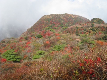 c0077338_6295495.jpg